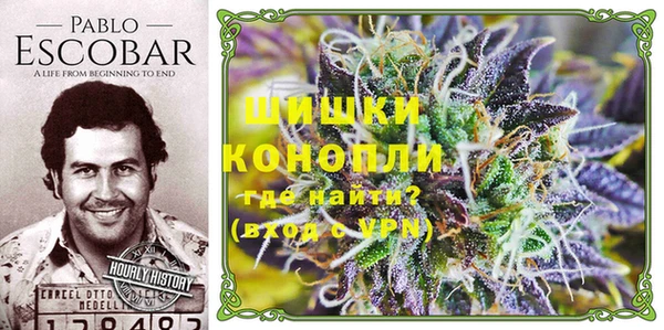 эйфоретик Беломорск