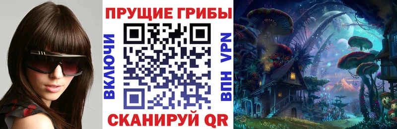 hydra онион  Гатчина  Галлюциногенные грибы MAGIC MUSHROOMS 