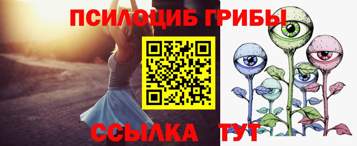 Галлюциногенные грибы MAGIC MUSHROOMS Гатчина