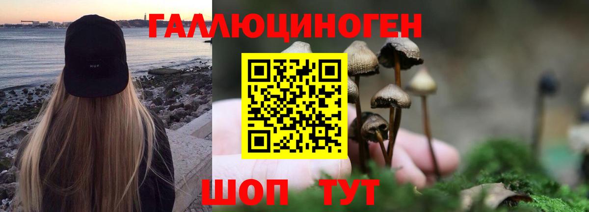 Галлюциногенные грибы мухоморы  Псилоцибиновые грибы Cubensis  Гатчина  сколько стоит  Вход с VPN 