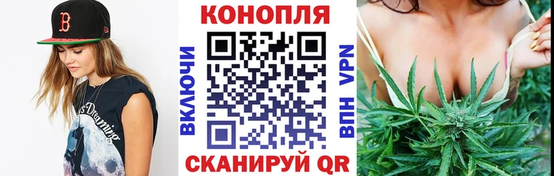 наркошоп  Гатчина  Бошки Шишки AK-47 